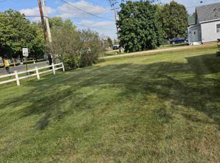 Aaron R.'s Lawn Mowing service result