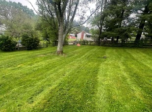 Joseph G.'s Lawn Maintenance service result