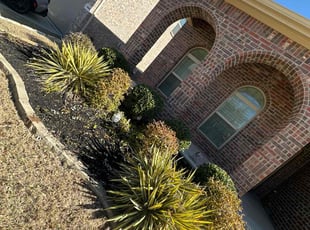 Bush Trimming by Patrick Stewart for Dawn B. in McKinney, TX