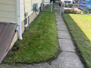 Cheryl C.'s Lawn Mowing service result