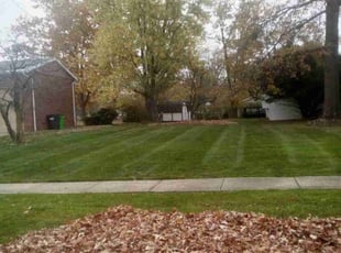 Kathy V.'s Lawn Mowing service result