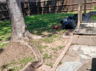 Cleanups by Valente Alvarado for VINCENT M. in Carrollton, TX