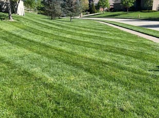 Harry P.'s Lawn Care service result