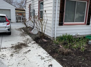 Bush Trimming by Jacob Smith for Stephanie G. in Salt Lake CIty, UT