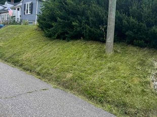 Morgan W.'s Lawn Mowing service result