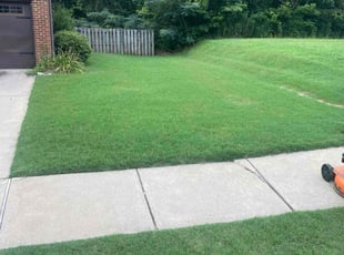 Robert G.'s Lawn Maintenance service result