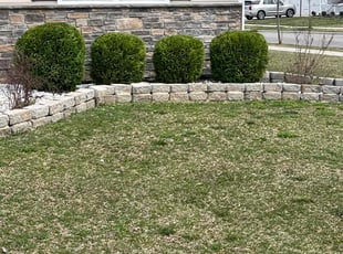 Bush Trimming by Scott Bennett for Rashida B. in Pataskala, OH