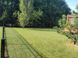 Alexander M.'s Lawn Service service result