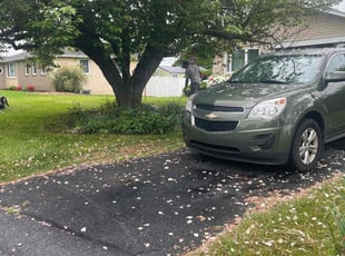 Cleanups by Green River Landscape LLC for Peter Z. in Middletown, PA