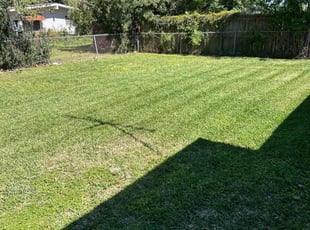 Christa M.'s Lawn Mowing service result