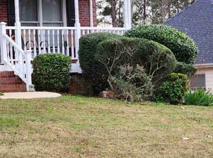 Bush Trimming by Willie P for Tanya M. in Conyers, GA