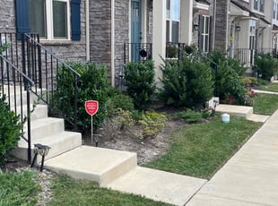 Ravin B.'s Lawn Mowing service result