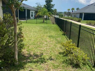 Agitu W.'s Lawn Mowing service result