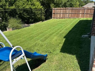 LOUIS P.'s Lawn Service service result