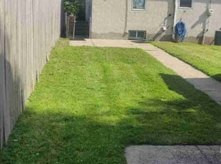 Richard V.'s Grass Cutting service result