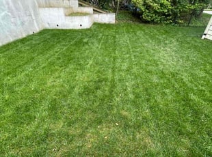 Charles C.'s Lawn Service service result
