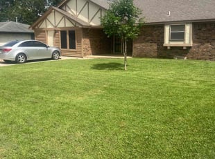MICHAEL H.'s Lawn Care service result