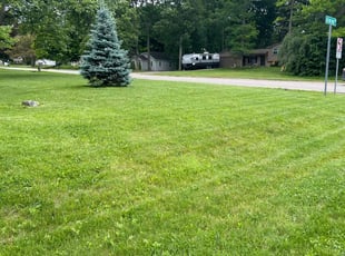 Josh S.'s Lawn Service service result