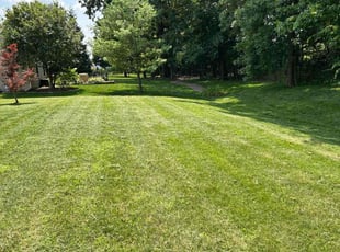 Michelle B.'s Lawn Mowing Service service result