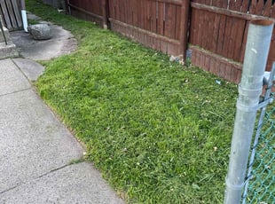 Nancy H.'s Lawn Care service result
