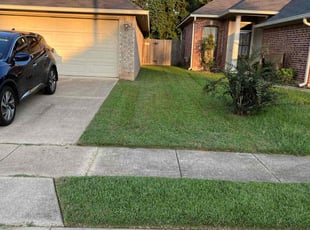 Ether T.'s Lawn Service service result