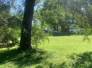 Steve V.'s Lawn Mowing Service service result