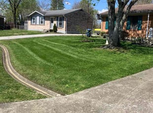 Denise B.'s Lawn Mowing service result