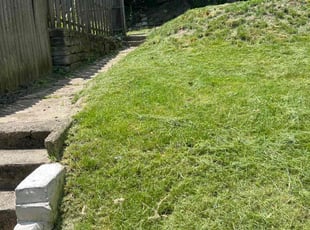 Michael O.'s Lawn Care service result