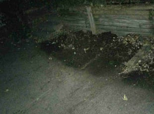 Cleanups by Charles Hamlin for Terry A. in Ralston, NE