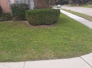 Bush Trimming by Terrace Brown for Clinton T. in Plano, TX