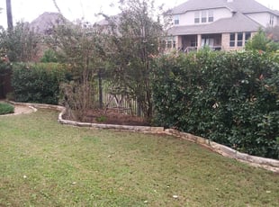 Bush Trimming by Steve Hoffman for Helen M. in San Antonio, TX