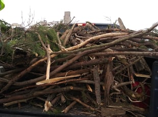 Leaf Removal by Archie Lockwood for Rob B. in West Allis, WI