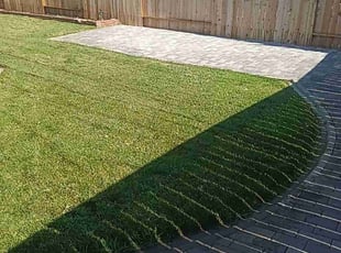 Tamara M.'s Lawn Mowing service result