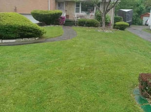 Corey S.'s Yard Cutting service result