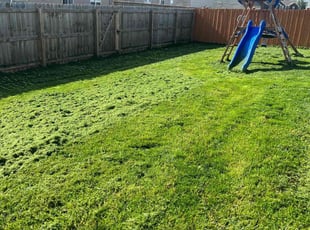 Bush Trimming by John Will for Pamela Y. in Indianapolis, IN