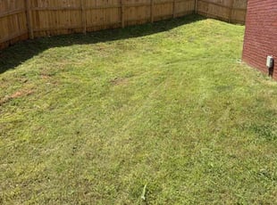Cleanups by Toni Feaster for Rachel J. in Lithonia, GA