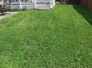 Leah U.'s Lawn Mowing Service service result