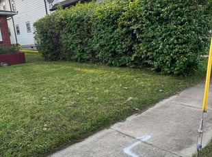 Bush Trimming by Landon Millett for Jason T. in Nashville, TN