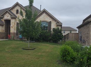 Bush Trimming by G A for Matthew W. in San Antonio, TX
