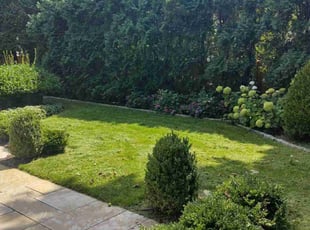 davina n.'s Lawn Care service result