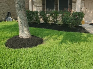 Mulching by Billy Foster for Chris B. in Manvel, TX
