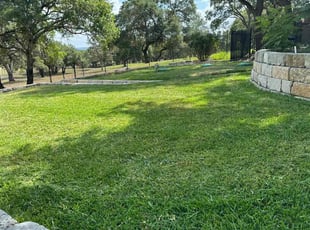 Irene A.'s Lawn Mowing Service service result