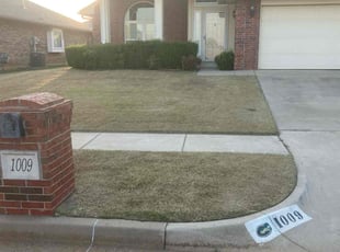 Tuan L.'s Lawn Care service result