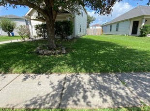Xavier J.'s Grass Cutting service result