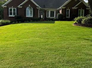 Leaf Removal by Emily Hernandez for Kimberly G. in Buford, GA