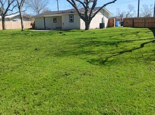Nancy D.'s Grass Cutting service result