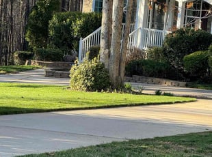 Matthew j.'s Yard Cutting service result