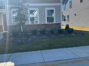 Ollie B.'s Yard Cutting service result