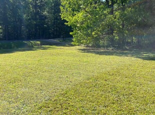 Shannon B.'s Lawn Service service result