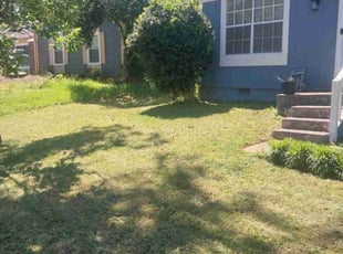 Dave M.'s Bush Trimming service result